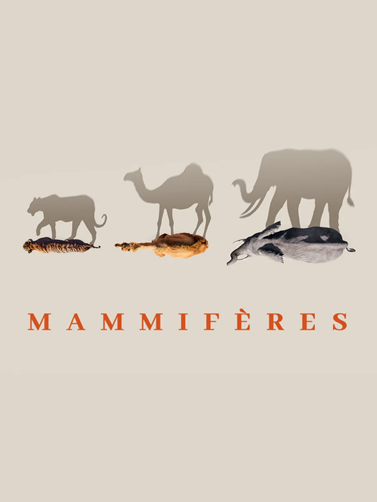 Affiche de la docu série Mammifères diffusé sur France 2 réalisé parJo Avery, Scott Alexander, narration Virginie Efira. 