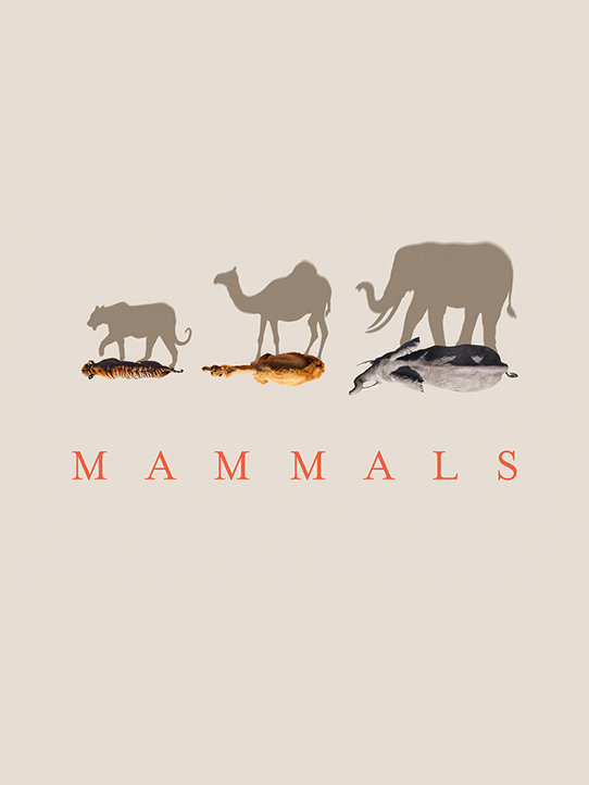 Poster of Planet Earth : Mammals french voice recording of Virginie Efira made by Digital Factory